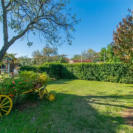 Tonkica Apartment Vodice