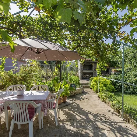 Tonkica Flower Garden * Водице