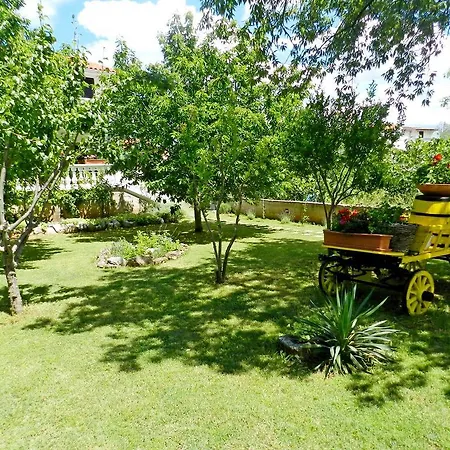Tonkica Flower Garden