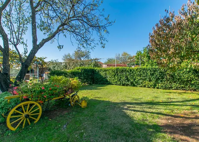 Tonkica شقة فوديس