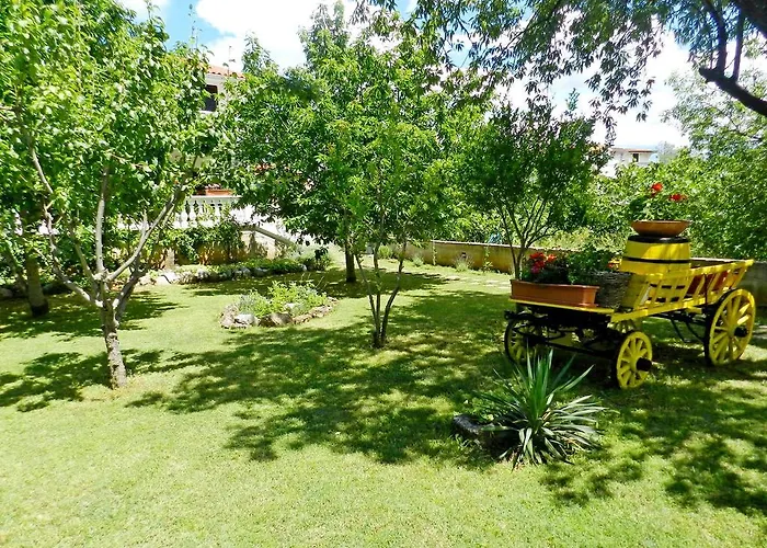 Tonkica Flower Garden